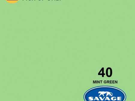 Savage 107  Mint Green Seamless Background Paper Cheap